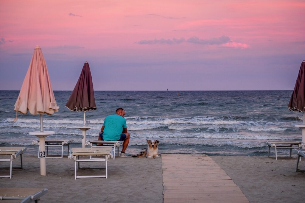 f8bc3094-f696-4e78-b1e7-741ce1a1b511